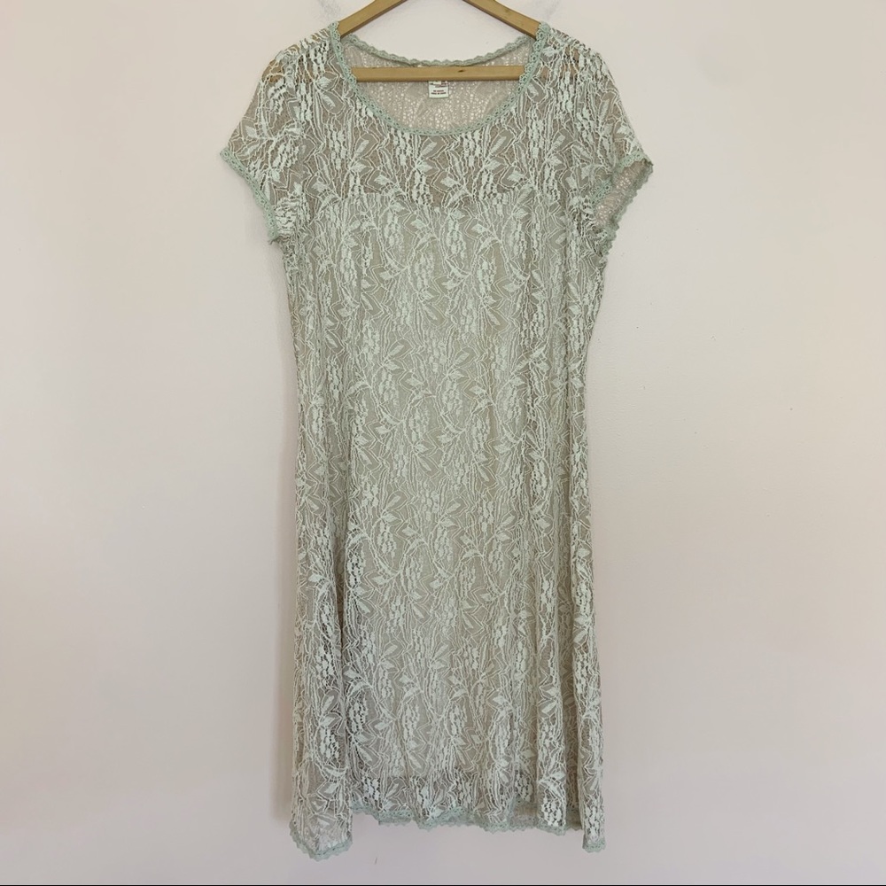 Sundance Beige Lace Overlay Short Sleeve Knee-Length Dress